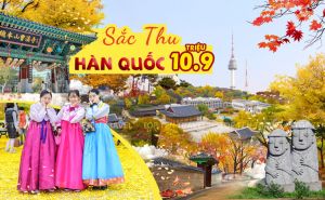 TOUR HÀN QUỐC: Seoul – Everland – Seoul (Hái Lê)