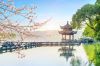 thuong-hai-hang-chau-to-chau-o-tran-vo-tich - ảnh nhỏ 5